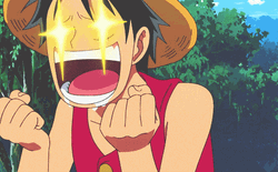 In Love Monkey D. Luffy GIF