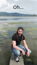 In The Middle Of Swamp GIF