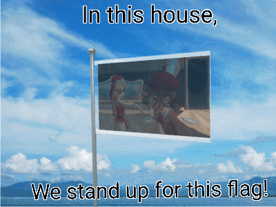 In This House We Stand Up For This Flag Written On A Flag GIF