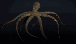 Incredible Glow In The Dark Octopus GIF