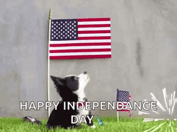 Independence Day 4Th Of July GIF