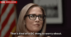 Independent Kyrsten Sinema Not Mine To Worry About GIF