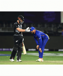 India Cricket Resting GIF