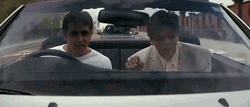 India Cricket Wins Supporter Scream GIF