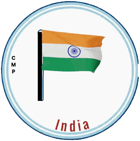 India Flag Inside Circle Sticker