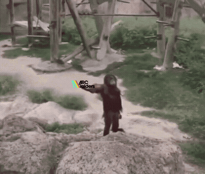 Indian Flag Waving In Cloudy Sky GIF