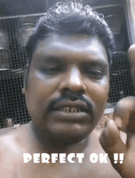 Indian Perfect Ok GIF