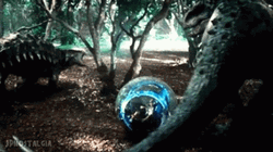 Indominus Rex Versus Ankylosaurus GIF