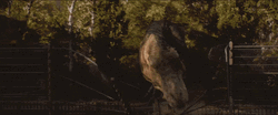 Indominus Rex Versus Lion GIF