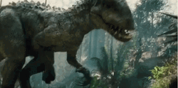 Indominus Rex Versus Pterosaur GIF