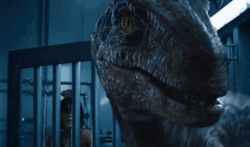 Indoraptor Grinning Looking For Prey GIF