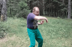 Infinidat Kung Fu Moves GIF
