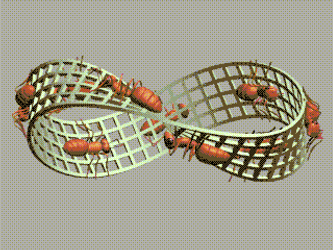 Infinite Loop Mobius Strips GIF