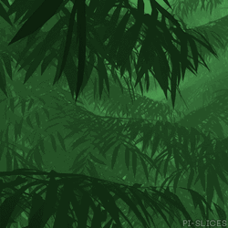 Infinite Rain Forest Animation GIF