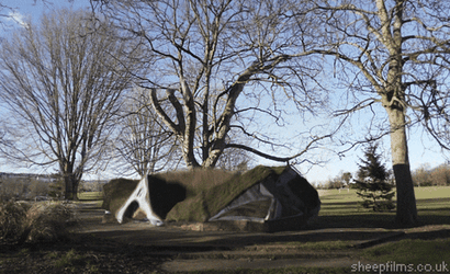 Inflate Balloon Deflating GIF