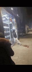 Infuriated Thief Forcing Entry Glass Breaking GIF