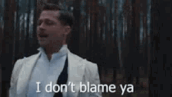 Inglourious Basterds I Don't Blame You GIF