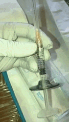 Injection Filler Dermal Shots GIF