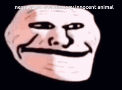 Innocent Animal Facial Reaction Meme GIF
