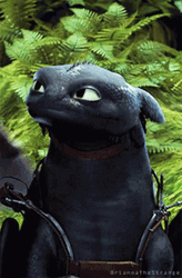 Innocent Look Toothless Meme GIF