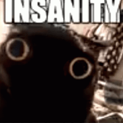 Insanity Has Gone Mad GIF