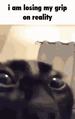 Insanity Losing Grip On Reality GIF