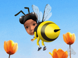 Insect Bee Movie