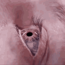 Insect Crawling Into The Eyeball GIF