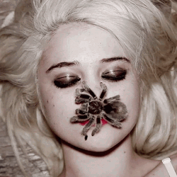 Insect Crawling Sky Ferreira