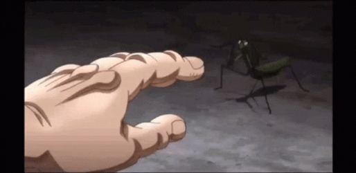 Insect Fight Baki Hanma GIF