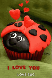 Insect Love Bug Cupcake