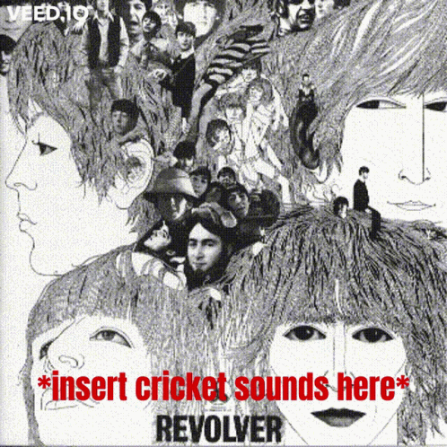 Insert Cricket Sounds Here Poster GIF