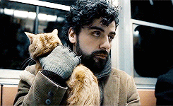 Inside Llewyn Davis Hugging A Cat GIF