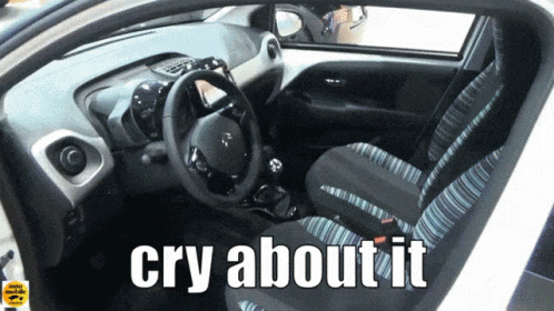 Inside Of Car With Cry About It GIF