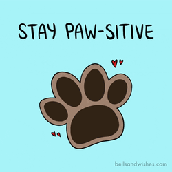 Inspirational Advice Stay Paw-Sitive GIF