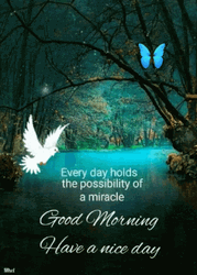 Inspirational Message Nice Day Miracle GIF