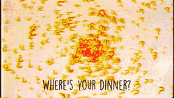 Instagram Food Pictures GIF