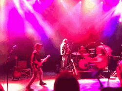 Intense And Fun Rockstar Concert GIF