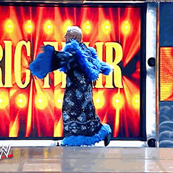Intercontinental Champion Wrestler Ric Flair Woo