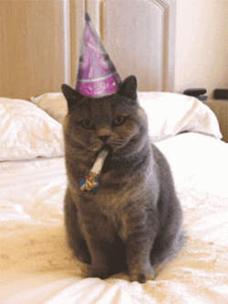 International Cat Day Black Feline Blowing Party Horn GIF