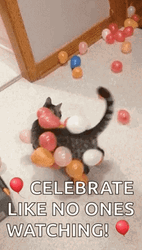 International Cat Day Feline With Many Balloons GIF