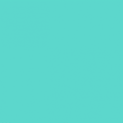 International Women's Day Connecting Hands GIF