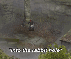 Into The Rabbit Hole GIF