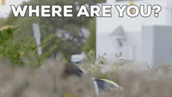 Investigating Where  GIF