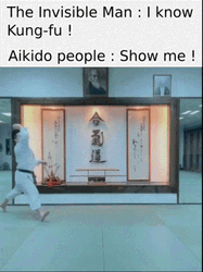 Invisible Man I Know Kung Fu GIF