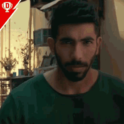 Ipl Ipl2020 GIF