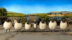 Irish Jig Shaun And Other Sheep GIF