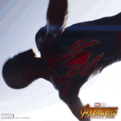 Iron Spider Fly Standing Slowly GIF