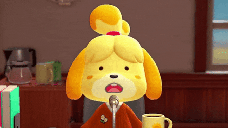 Isabelle In Awe In The Kitchen GIF