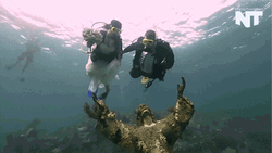 Isla De Mona Redux Underwater GIF